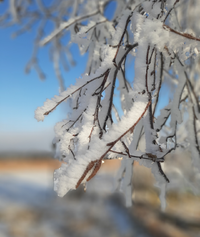 20201116_113328.webp