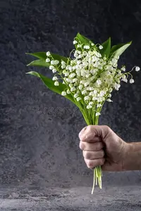 934D65F2-E949-478B-8BC7-4DA41384C616.webp