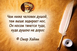 60607fedaf96dfeb1b11124b2a3355a2_943.webp