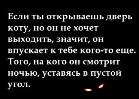 IMG-630e40f53024ad8b28eac8f5e70914fa-V.webp