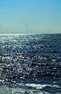 IMG_20201117_220533_609.webp
