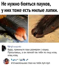 IMG-4baeb463c585549c66f64e43fd5b8b1b-V.webp