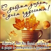 IMG-20201117-WA0001.webp