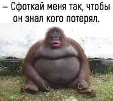 (1).webp