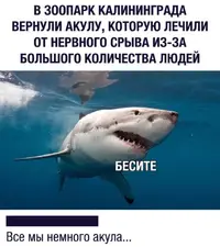 rnSjoA5f2VM.webp