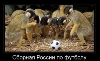 5C3BCADA-71D5-462B-9D37-6A4CD93A5A43.webp
