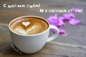 fd6a6d41850cd40aebd3d55f5bcbf48b.webp
