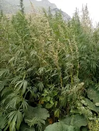 Screenshot_20201119_095651.webp