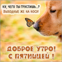 dobroe-outro-s-pyatnitsej-kartinka-pozitivnaya.webp