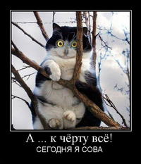 2020-11-20-10-37-28.webp