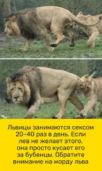 VT8M7LWZ5sU.webp