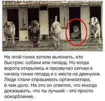 FB_IMG_1602397720853.webp