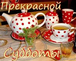 new-card-18084.webp