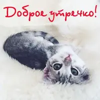 11d84941ef4253ff9943a21107023e59.webp
