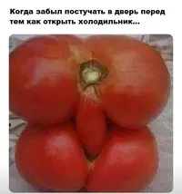 2.webp