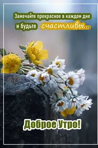 020fbf6f9a31de0b44b504723590caf3.webp