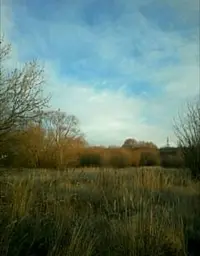 tmp-cam-990543129.webp