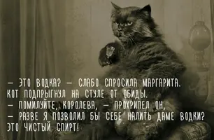 76c0a0.webp