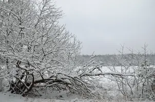 _DSC2760.webp