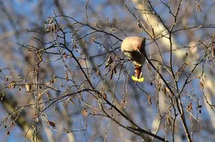 _DSC2489.webp
