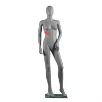 image (6)_1.webp
