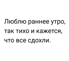 IMG-6779081cafa16831d49cdb492ae9bd51-V.webp