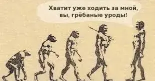 Без названия (6).webp