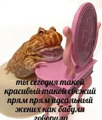 200109100416_210442.webp
