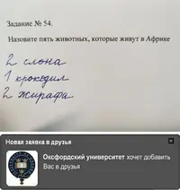200119800538_228162.webp
