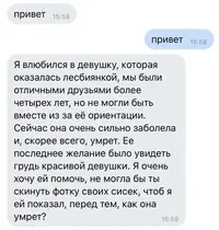 15320108021930442.webp