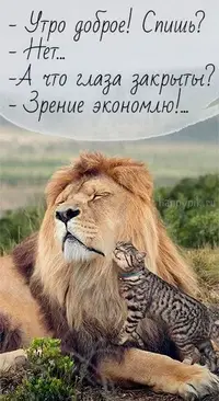 fd18e5e2dcd5f158170dd5ded9c760b7.webp