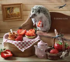 17e2229ef8bbc8a7a37df48eedf3ab57.webp