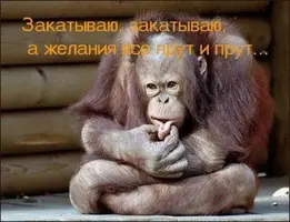 0a113e3d85e50df87d70e176bd57c086.webp