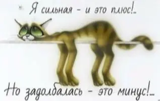 EADC091F-D60E-4E4C-8FFA-E6C477AF980F.webp