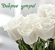 2020-11-27-07-37-13.webp