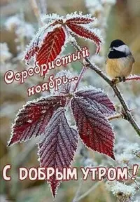 Screenshot_20201127_102022.webp