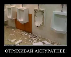 (1).webp