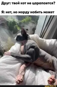 90448028ba0faa806fe0dcbcc9147c93.webp