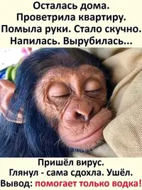 IMG-1f83a1d5f37707c8614f06f08f949ad5-V.webp