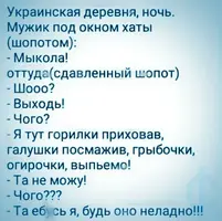 80aebf9e8a3510fb5432ccf9f3d35ebd.webp