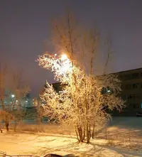 20201128_185649.webp