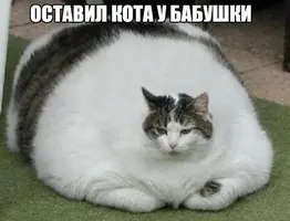 IMG-5b054994f97e7f3b5e5e1c25d8d0c278-V.webp