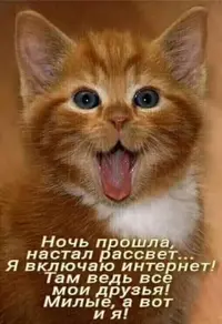 IMG-20201128-WA0009.webp
