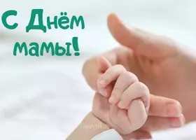 2BA67FAE-15BA-43D8-84D1-06F71A6FBF08.webp