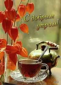 04184ff7584b7c2df499b655e88af59e.webp