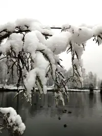 IMG_20201130_223506.webp
