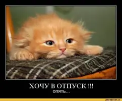 original.webp