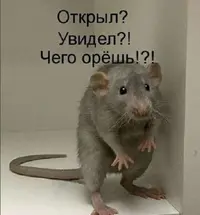 1613eb570450e21f40fb5036758eedf2.webp