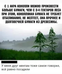57BE395D-63C1-46A6-9EA9-20CA928601FD.webp