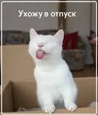 Без названия.webp